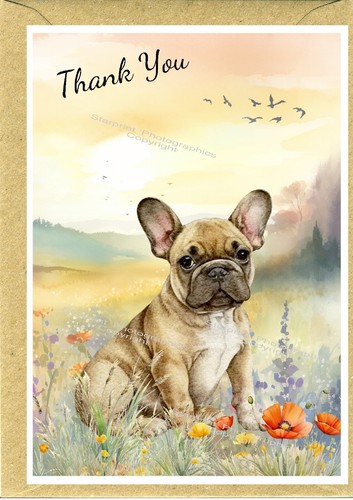French bulldog frenchie dog - bulldog,