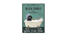 Black poodle dog - poodle, bath