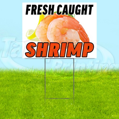 Fresh caught shrimp - fresh, yard