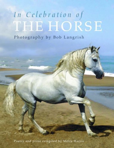 Celebration the horse by - celebration,