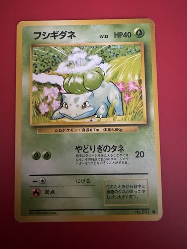 Pokemon bulbasaur card - pokemon,