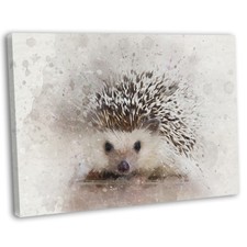 Hedgehog Abstract Watercolour