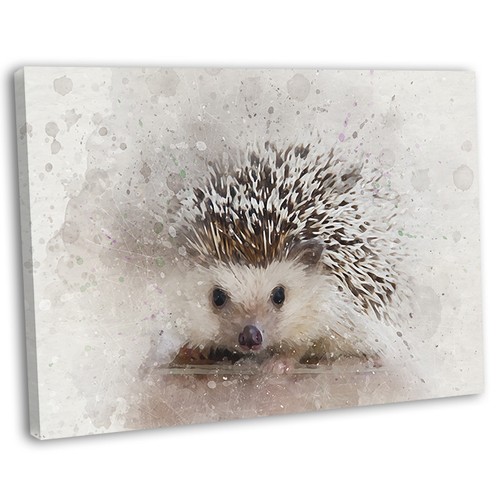 Hedgehog abstract watercolour - hedgehog,