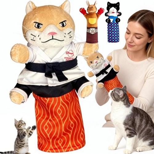 Karate kitty cat wrestling - karate,