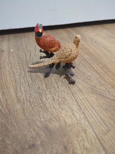 Two pheasants branch - on, a
