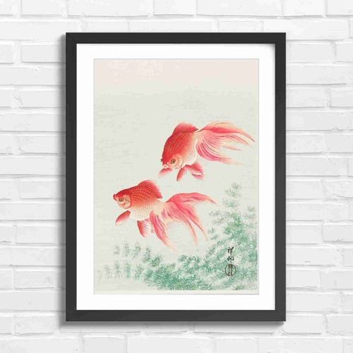 Traditional japanese goldfish - japanese,