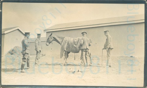 1911 original photo lancashire - original,