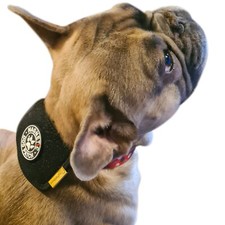 Magnetic Dog Collar 6 x 5000 Gauss Magnets - Free Postage