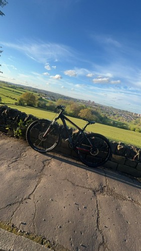 Mountain bike - mountain,