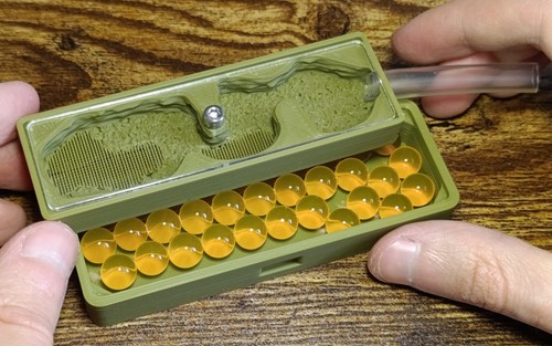 Ant farm step natural - ant,