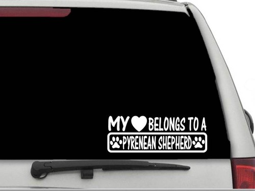 Heart belongs a pyrenean - to,