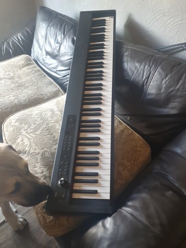 Korg digital stage piano - d1,