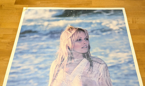 Blonde model poster wet - blonde,