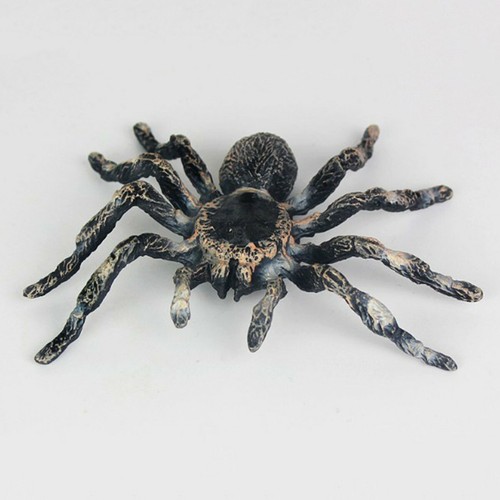 Realistic plastic spider - plastic, fake