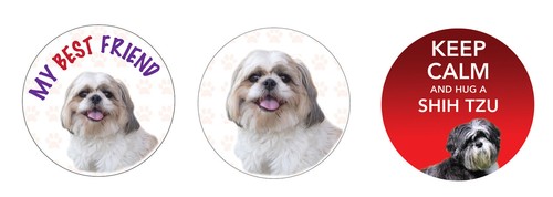 Shih tzu dog - 2, x