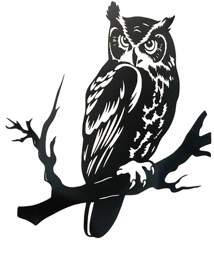 Owl bird prey vinyl - 1x,