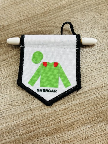 Shergar horse racing miniature - horse,
