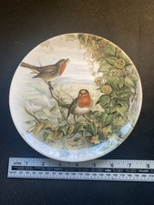 Coalport John Gould Robin