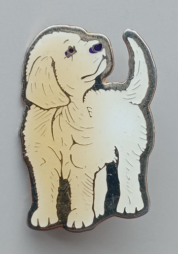 Golden labrador cute puppy - golden,