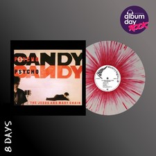 The Jesus and Mary Chain -