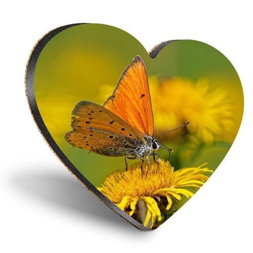 Heart mdf coaster - mdf,