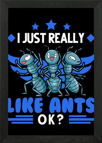 Ants ant farm anthill - ant,