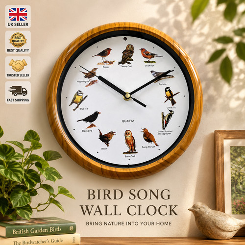 Outdoor bird song wall clock - outdoor,
