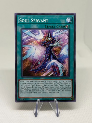 Soul servant sdid ae026 - soul, common