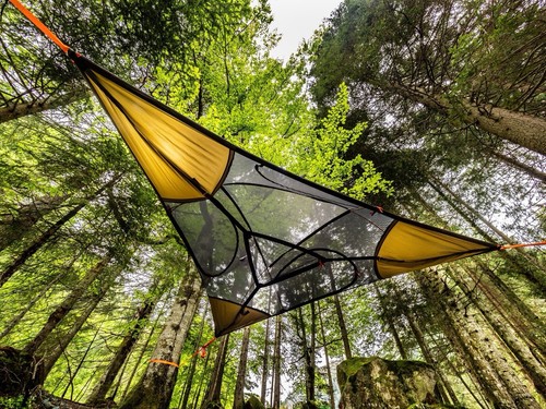 Person tree tent by - person,