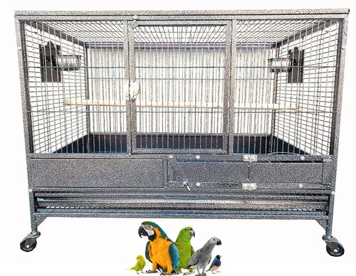 Single large bird - single, parrot