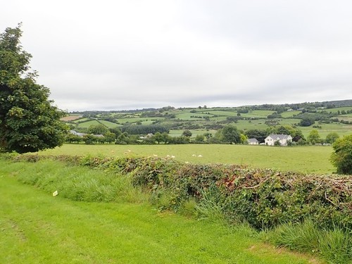 Photo 6x4 grazing land - 6x4,