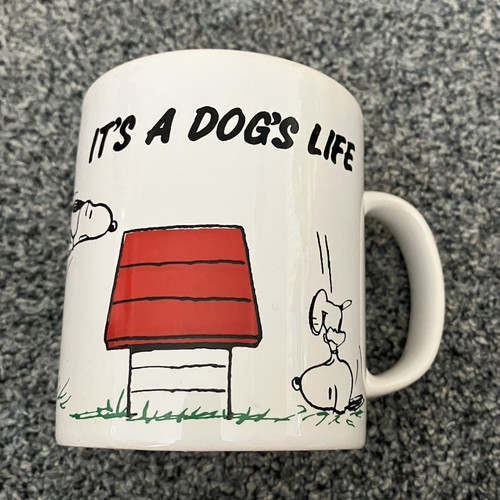Peanuts snoopy charlie brown - charlie,