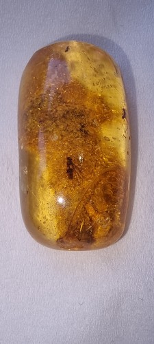 Rare natural baltic amber - baltic,