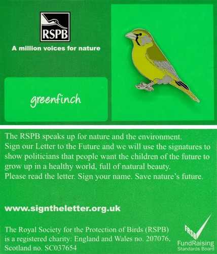 Rspb pin badge - rspb,
