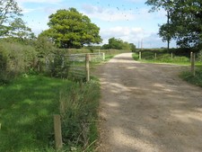 Photo 6x4 Bridleway to