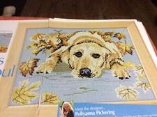 (Z-6) Golden Retriever Cross
