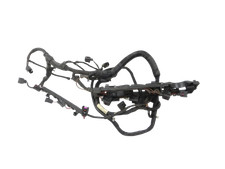 Harness Engine wiring for VW