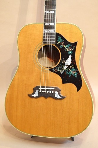 Gibson dove an used - dove,