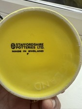 Prince Charles Investiture Mug