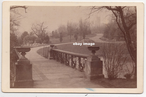 19th century cabinet card by - century,