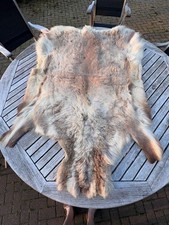 5 x Real Scandinavian Reindeer