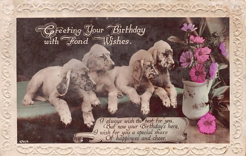 Family history postcard - -,