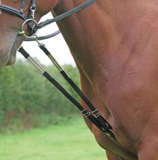 Shires Original Harbridge