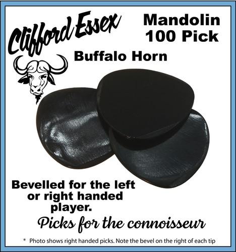 Mandolin 100 pick - mandolin,