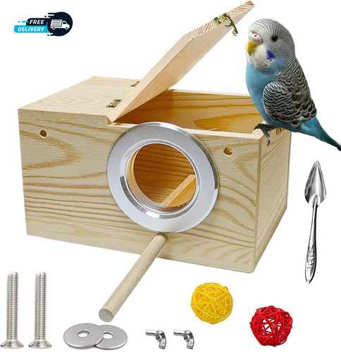 Bird nest parakeet - bird, box