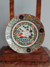 Antique Rose Famille Medallion