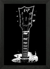 ESP Eclipse Framed Wall Art