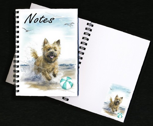Cairn terrier dog - cairn,
