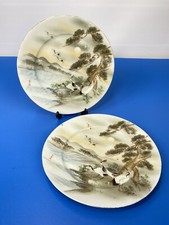 Chinese Porcelain Collector