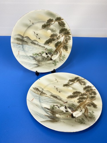 Chinese porcelain collector - chinese,